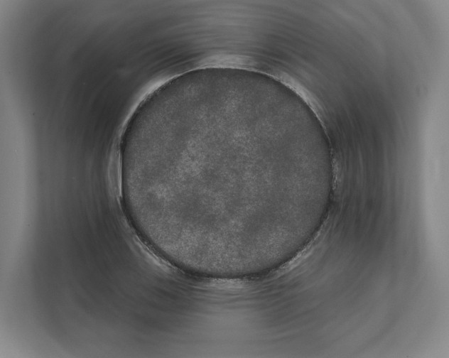 X0000111441123200908101009