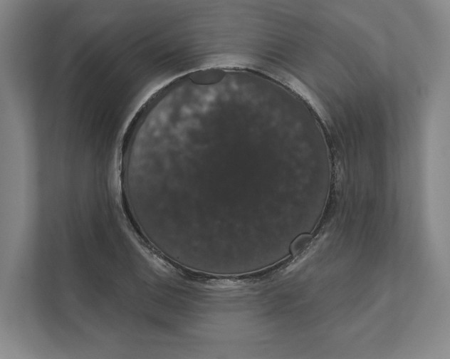 X0000111441124200908101009