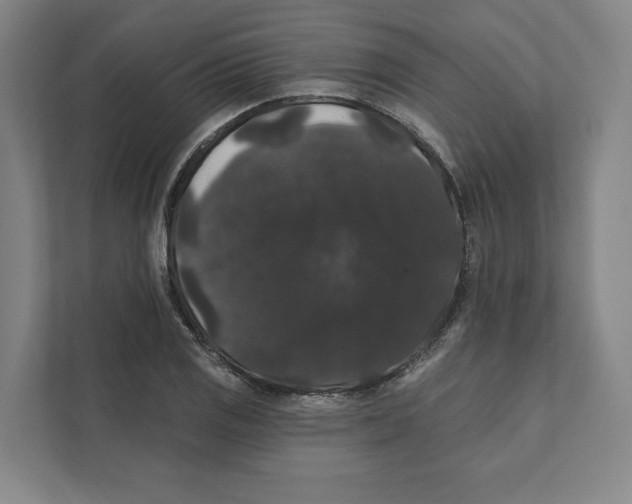 X0000111441125200908101009