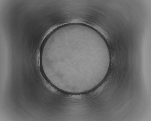 X0000111441126200908101009