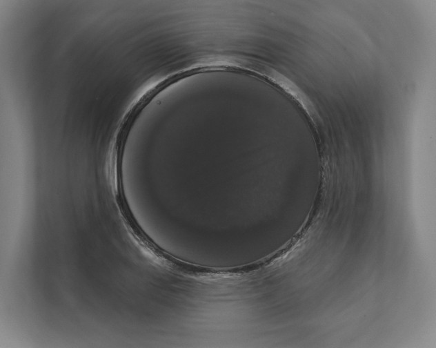 X0000111441127200908101009