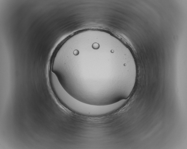 X0000111441128200908101009