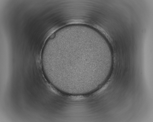 X0000111441129200908101009