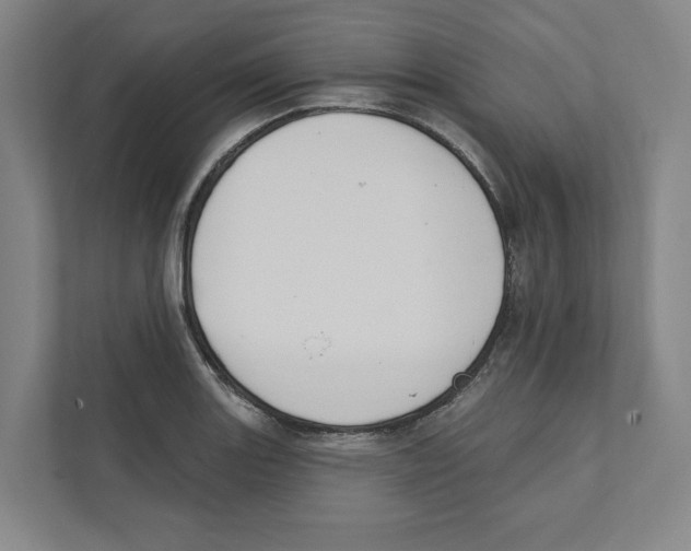 X0000111441131200908101009