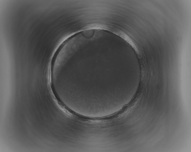 X0000111441132200908101009