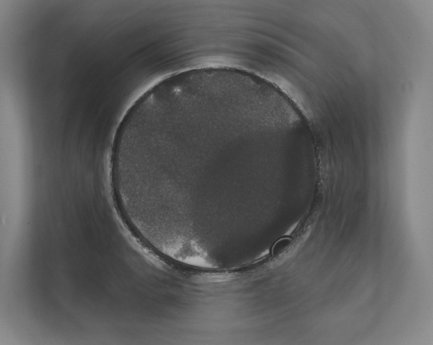 X0000111441134200908101009