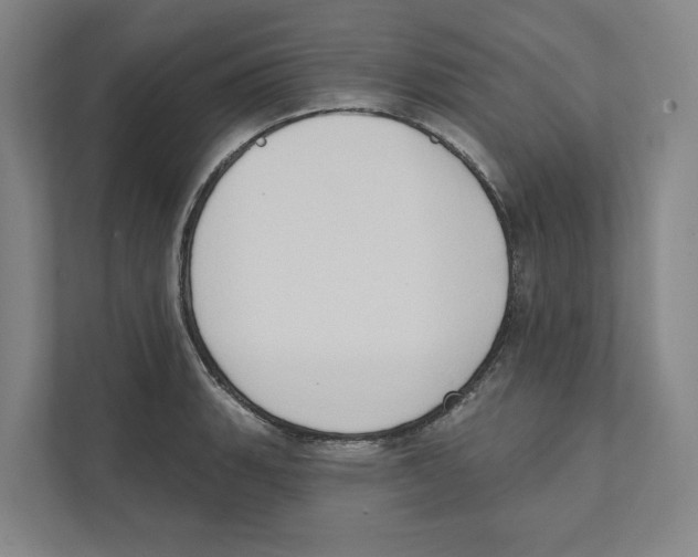 X0000111441135200908101009