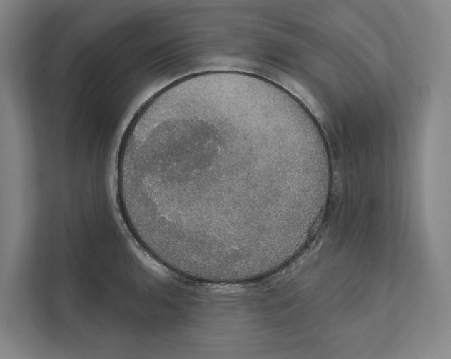 X0000111441136200908101009