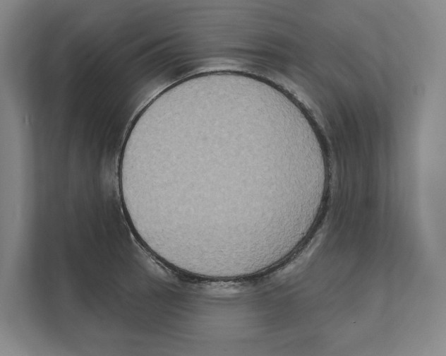 X0000111441137200908101009