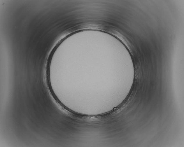 X0000111441139200908101009