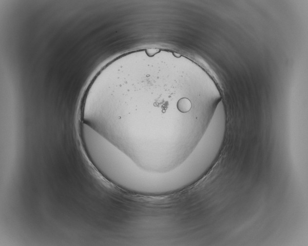 X0000111441140200908101009