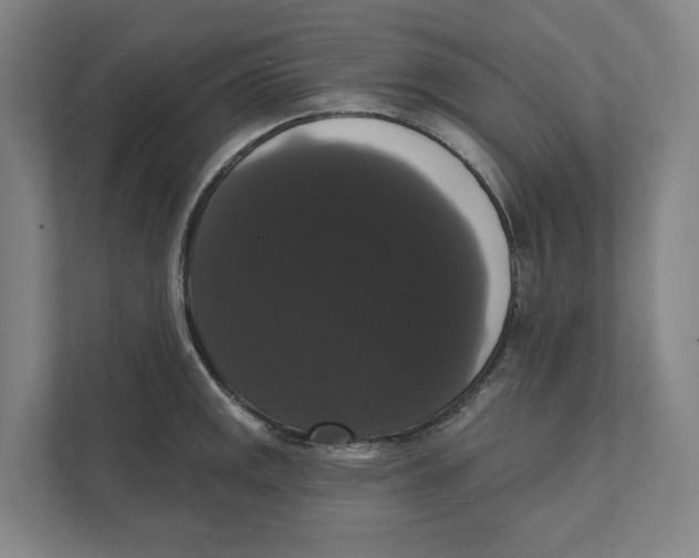 X0000111441141200908101009