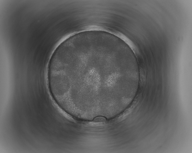 X0000111441142200908101009