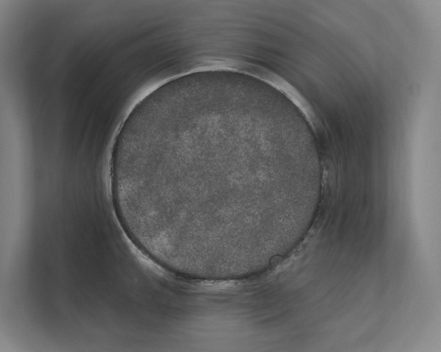 X0000111441143200908101009