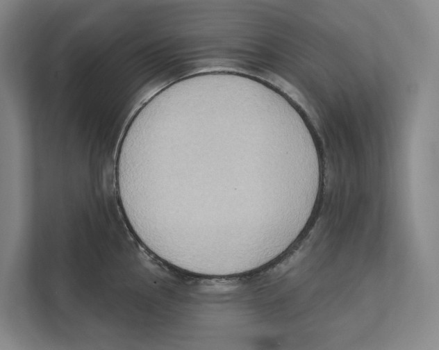 X0000111441145200908101009