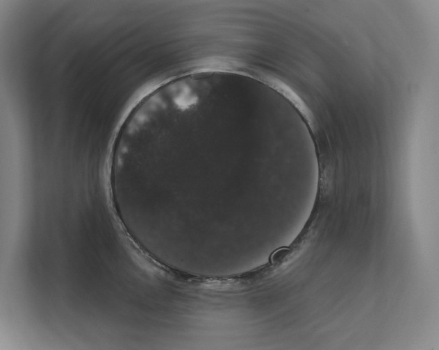 X0000111441146200908101009