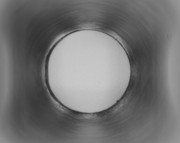 X0000111441147200908101009