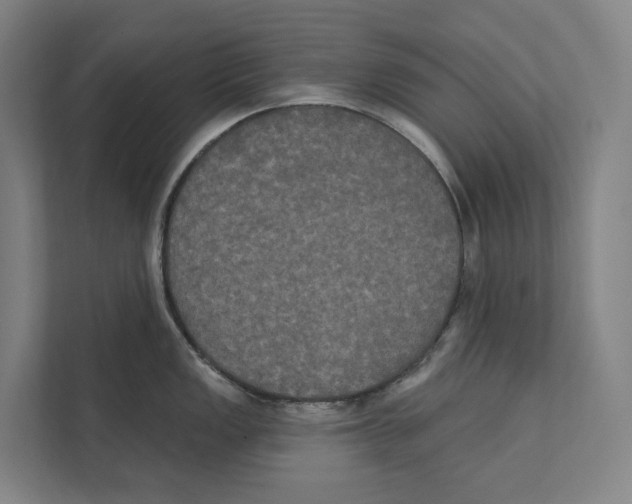 X0000111441149200908101009