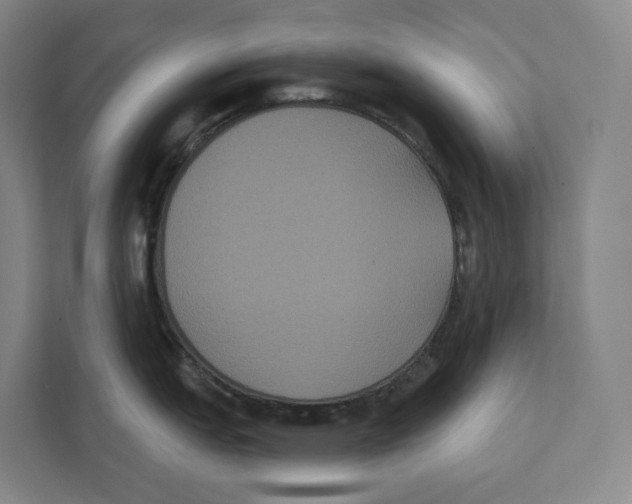 X0000111441151200908101009