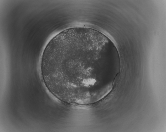 X0000111441152200908101009