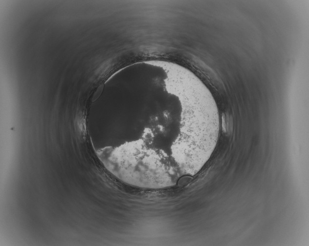 X0000111441155200908101009