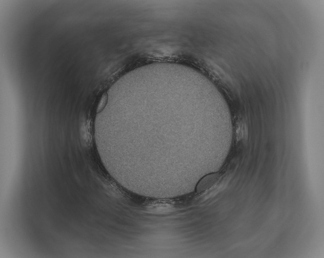 X0000111441156200908101009