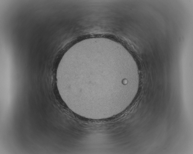 X0000111441157200908101009