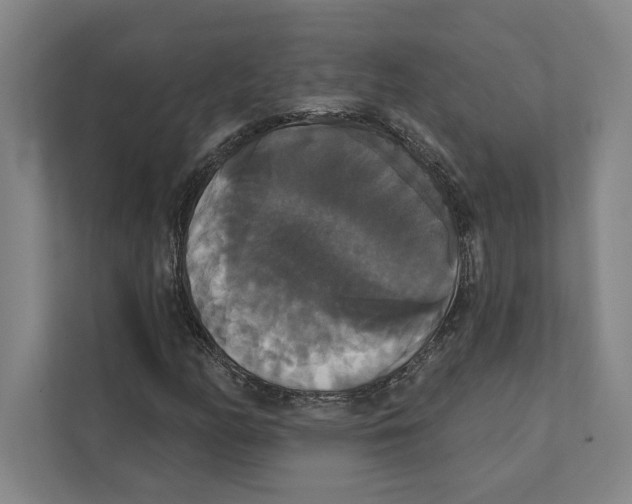 X0000111441158200908101009