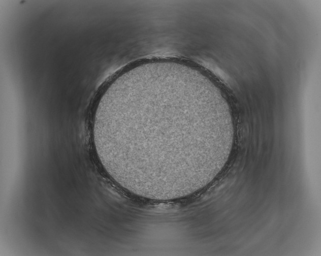 X0000111441160200908101009