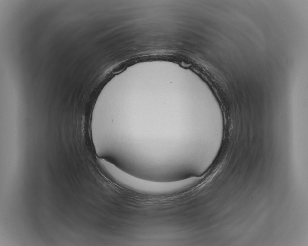 X0000111441161200908101009