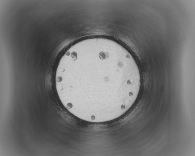 X0000111441163200908101009