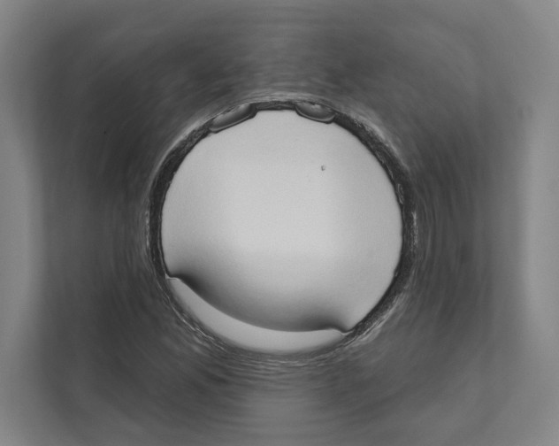 X0000111441165200908101009