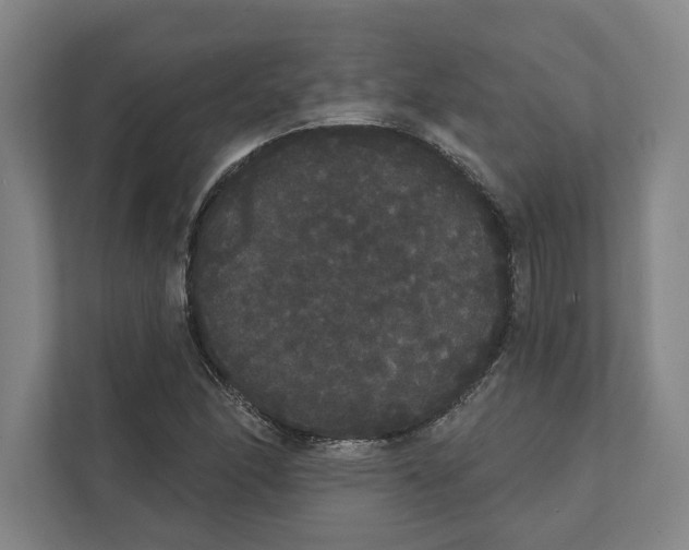 X0000111441166200908101009