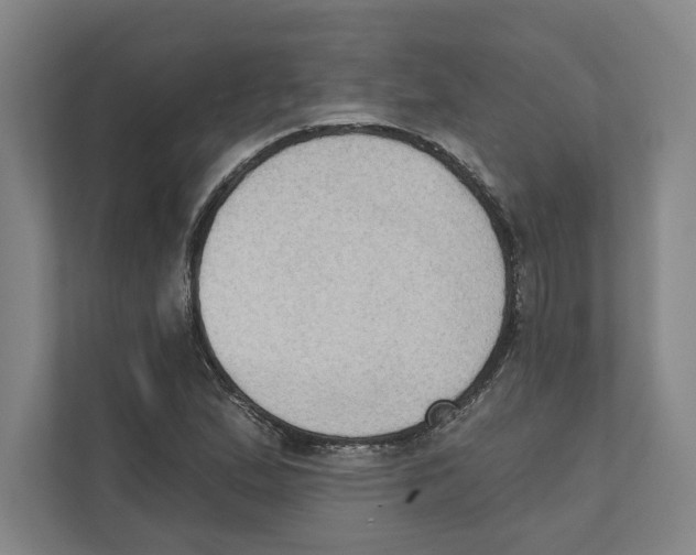 X0000111441167200908101009