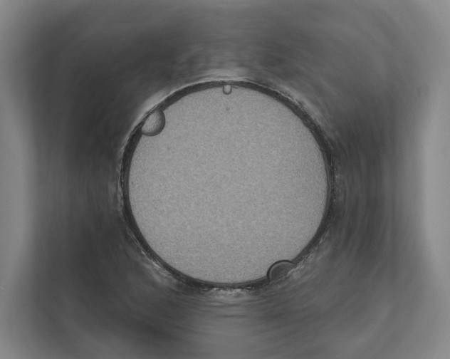 X0000111441168200908101009