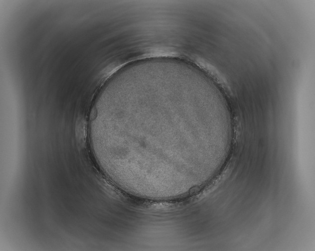 X0000111441169200908101009