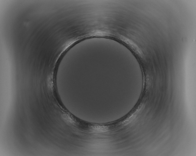 X0000111441170200908101009