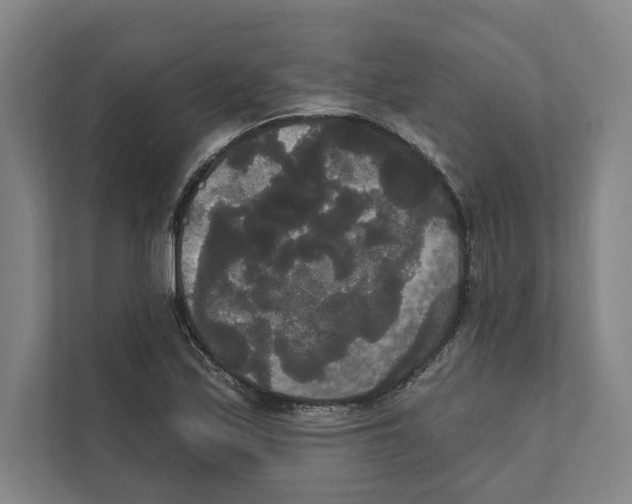 X0000111441171200908101009