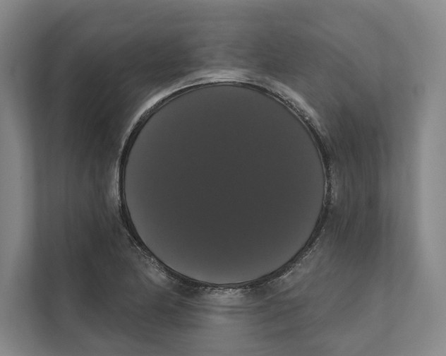 X0000111441174200908101008