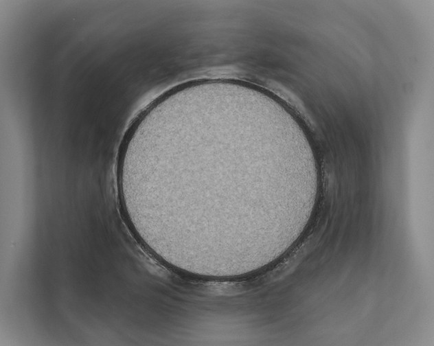 X0000111441176200908101008