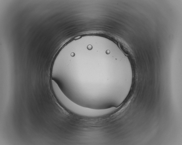 X0000111441177200908101008