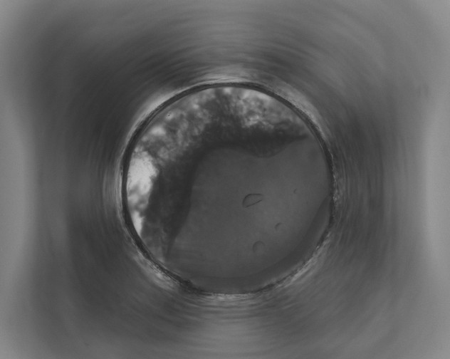 X0000111441179200908101008