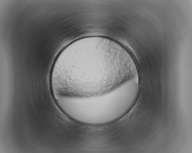 X0000111441181200908101008