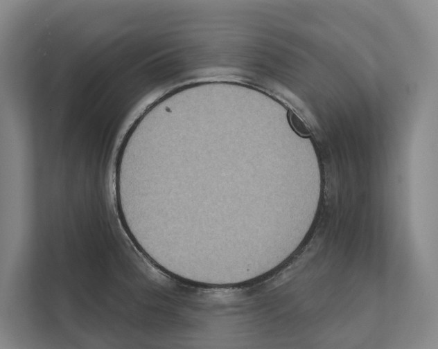 X0000111441188200908101008