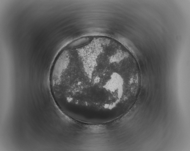 X0000111441189200908101008