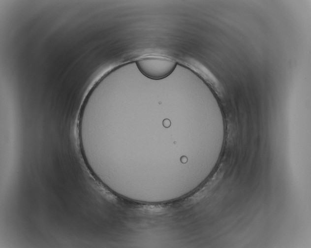 X0000111441190200908101008