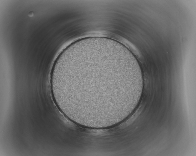 X0000111441192200908101008