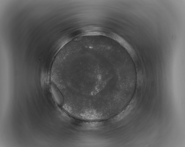 X0000111441193200908101008