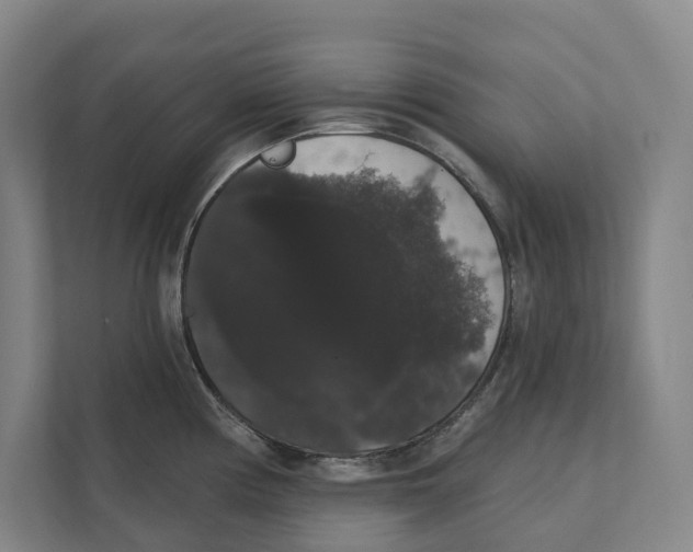 X0000111441194200908101008