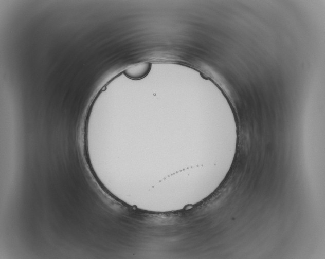 X0000111441195200908101008